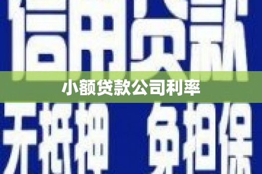 林西小额贷款公司利率