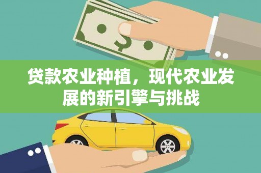 林西贷款农业种植，现代农业发展的新引擎与挑战