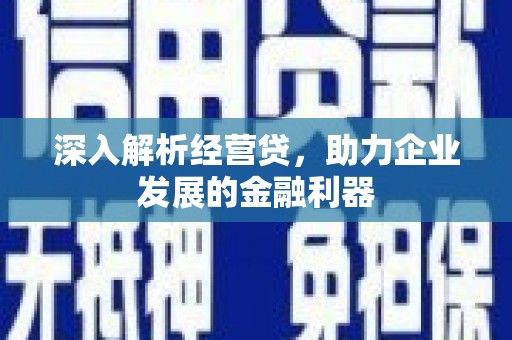 林西深入解析经营贷，助力企业发展的金融利器