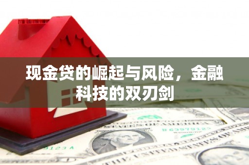 林西现金贷的崛起与风险，金融科技的双刃剑