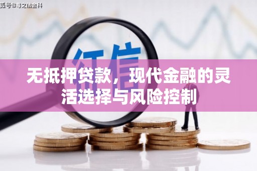 林西无抵押贷款，现代金融的灵活选择与风险控制