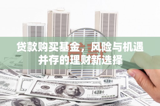 林西贷款购买基金，风险与机遇并存的理财新选择