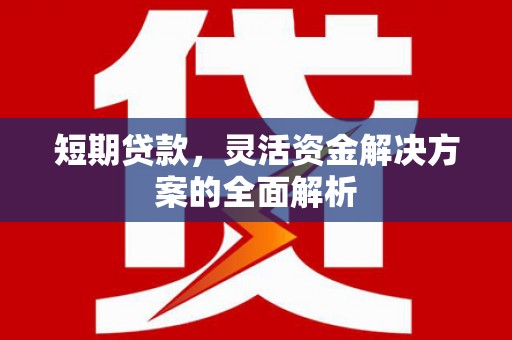 林西短期贷款，灵活资金解决方案的全面解析