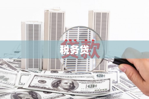 林西税务贷