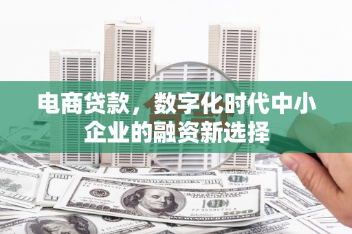 林西电商贷款，数字化时代中小企业的融资新选择