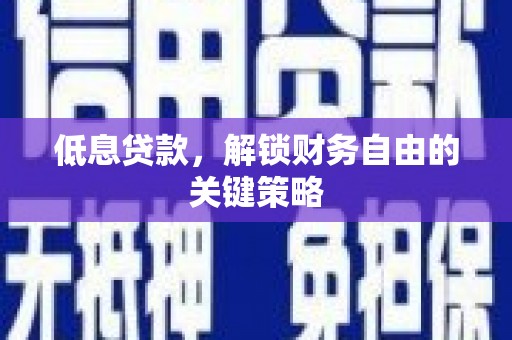 林西低息贷款，解锁财务自由的关键策略