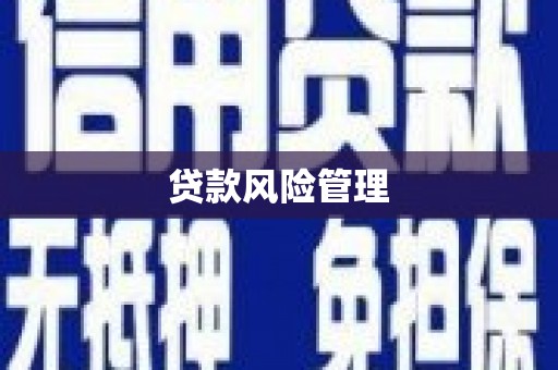林西贷款风险管理