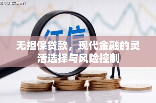 林西无担保贷款，现代金融的灵活选择与风险控制