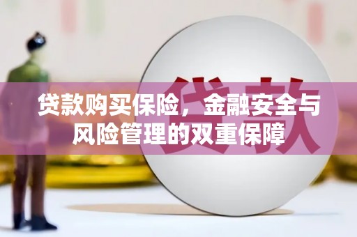 林西贷款购买保险，金融安全与风险管理的双重保障