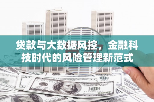 林西贷款与大数据风控，金融科技时代的风险管理新范式