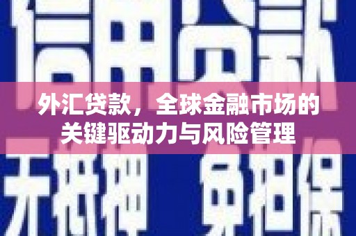 林西外汇贷款，全球金融市场的关键驱动力与风险管理