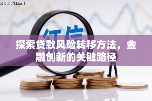林西探索贷款风险转移方法，金融创新的关键路径