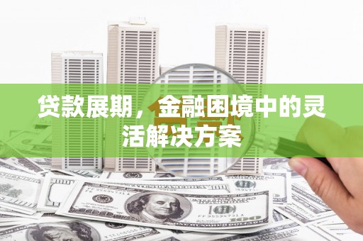 林西贷款展期，金融困境中的灵活解决方案