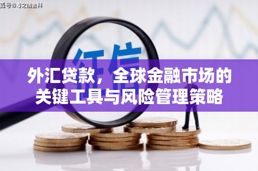 林西外汇贷款，全球金融市场的关键工具与风险管理策略