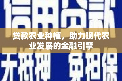 林西贷款农业种植，助力现代农业发展的金融引擎