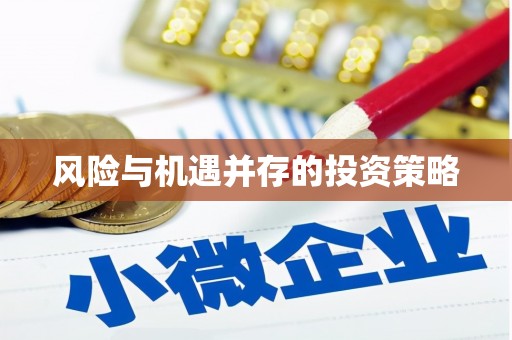 林西风险与机遇并存的投资策略