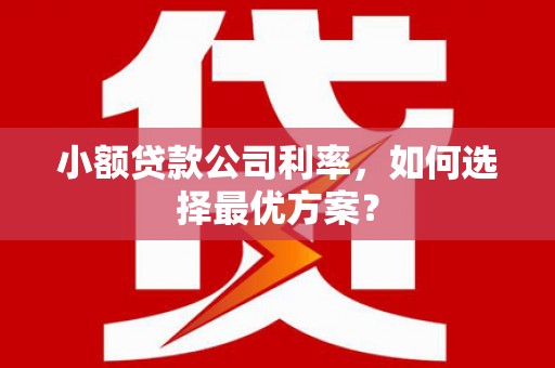 林西小额贷款公司利率，如何选择最优方案？