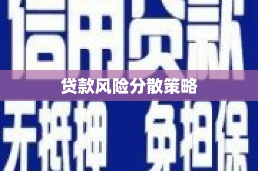林西贷款风险分散策略