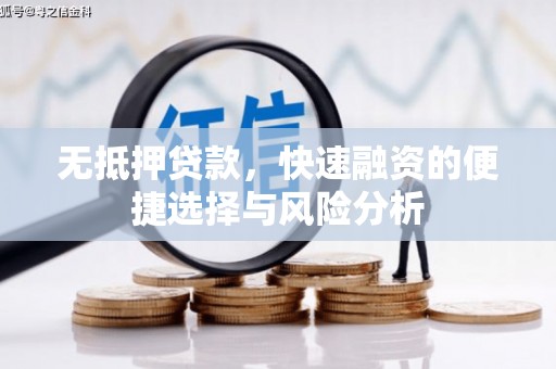 林西无抵押贷款，快速融资的便捷选择与风险分析