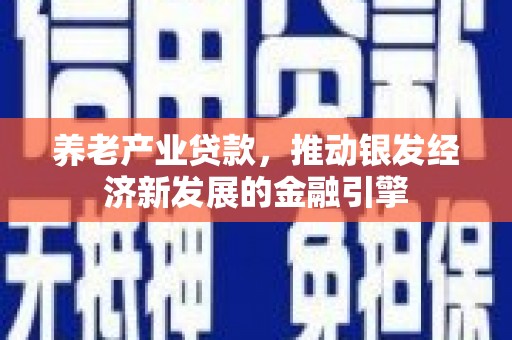 林西养老产业贷款，推动银发经济新发展的金融引擎