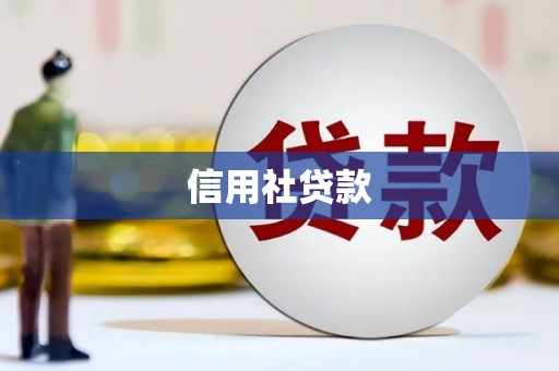 林西信用社贷款