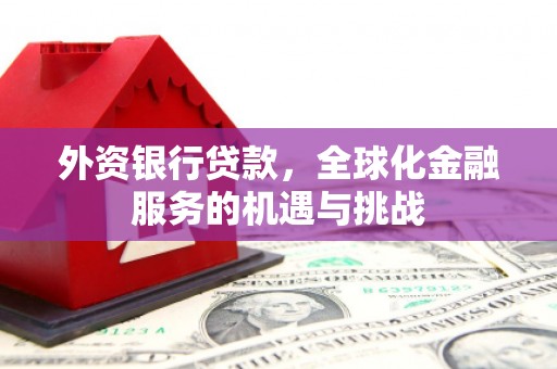 林西外资银行贷款，全球化金融服务的机遇与挑战