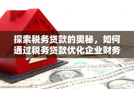 林西探索税务贷款的奥秘，如何通过税务贷款优化企业财务