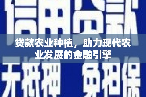 林西贷款农业种植，助力现代农业发展的金融引擎