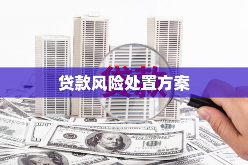 林西贷款风险处置方案