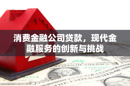 林西消费金融公司贷款，现代金融服务的创新与挑战