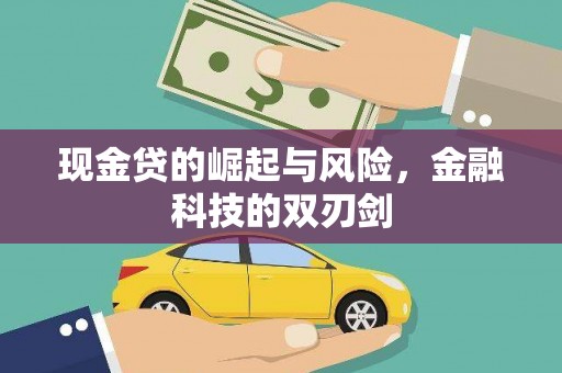 林西现金贷的崛起与风险，金融科技的双刃剑