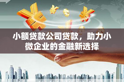 林西小额贷款公司贷款，助力小微企业的金融新选择
