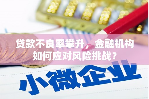 林西贷款不良率攀升，金融机构如何应对风险挑战？
