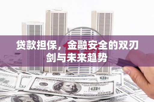 林西贷款担保，金融安全的双刃剑与未来趋势