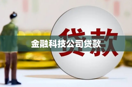 林西金融科技公司贷款