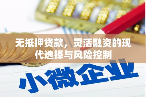 林西无抵押贷款，灵活融资的现代选择与风险控制