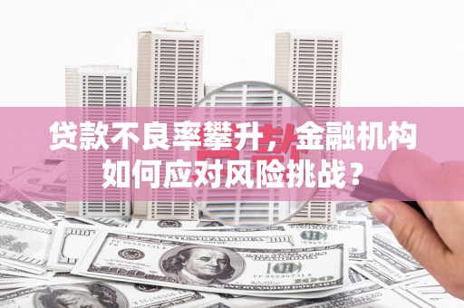 林西贷款不良率攀升，金融机构如何应对风险挑战？