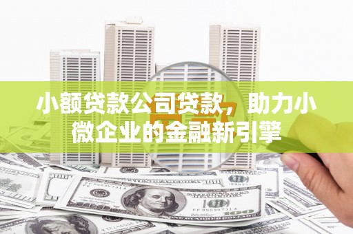 林西小额贷款公司贷款，助力小微企业的金融新引擎