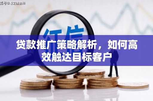 林西贷款推广策略解析，如何高效触达目标客户
