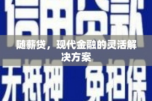 林西随薪贷，现代金融的灵活解决方案