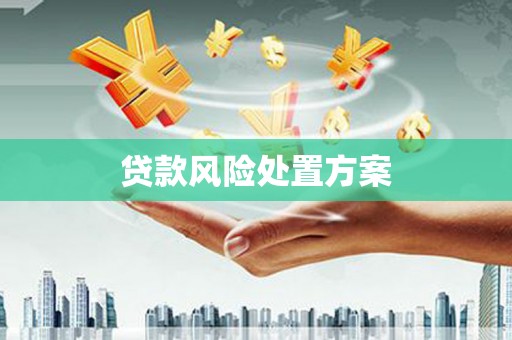林西贷款风险处置方案