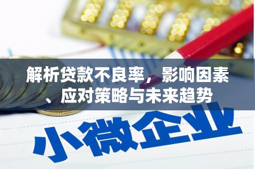 林西解析贷款不良率，影响因素、应对策略与未来趋势
