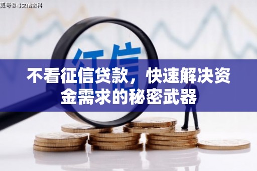 林西不看征信贷款，快速解决资金需求的秘密武器
