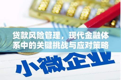 林西贷款风险管理，现代金融体系中的关键挑战与应对策略