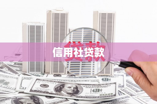 林西信用社贷款