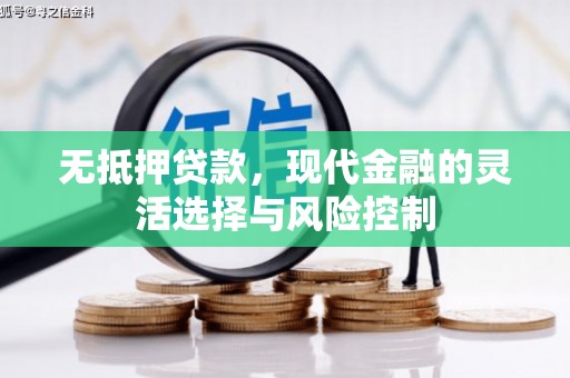 林西无抵押贷款，现代金融的灵活选择与风险控制