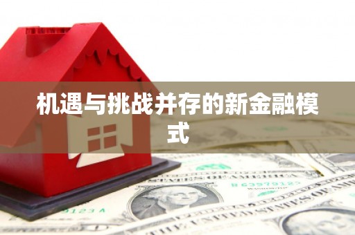 林西机遇与挑战并存的新金融模式