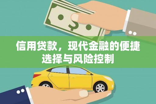 林西信用贷款，现代金融的便捷选择与风险控制