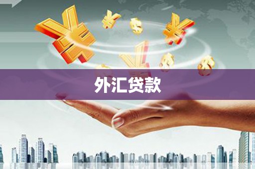 林西外汇贷款