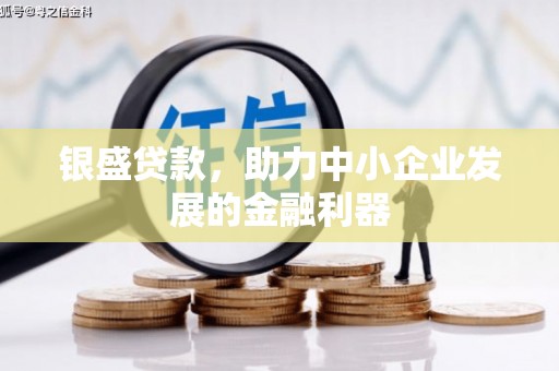 林西银盛贷款，助力中小企业发展的金融利器